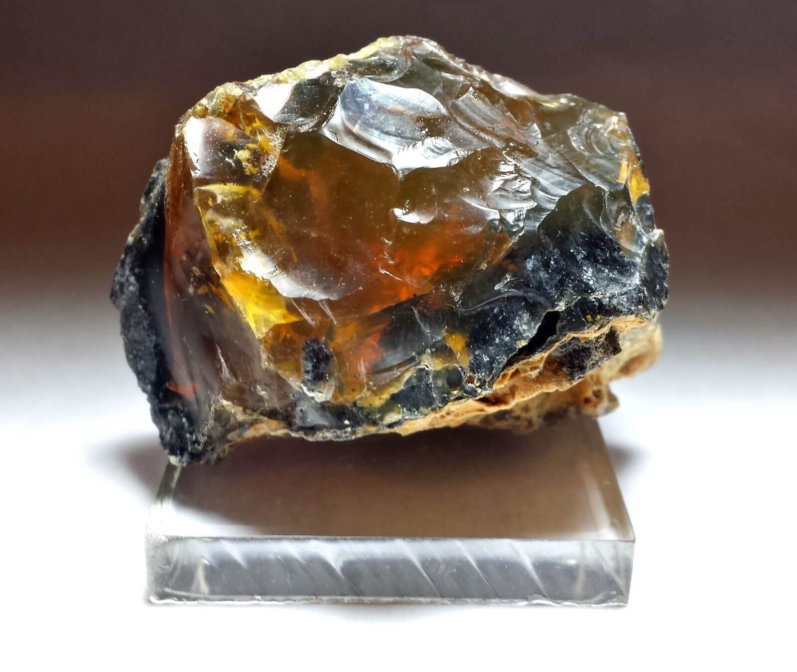 (S3) Opal Oregon Juniper Ridge Rough 2"x1 1/4" 230Crts Gold Crown Jewelry