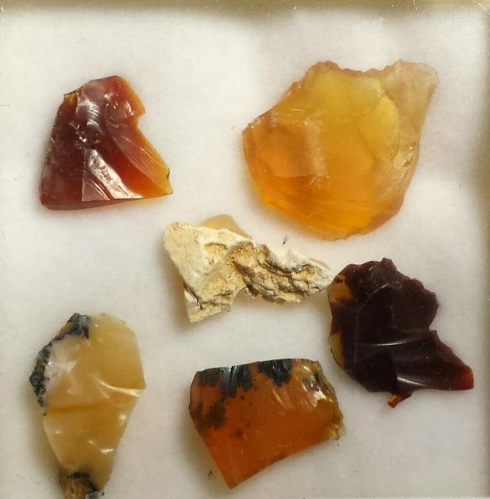 Opal Oregon Juniper Ridge Rough Sample (6 Pcs) Gold Crown Jewelry