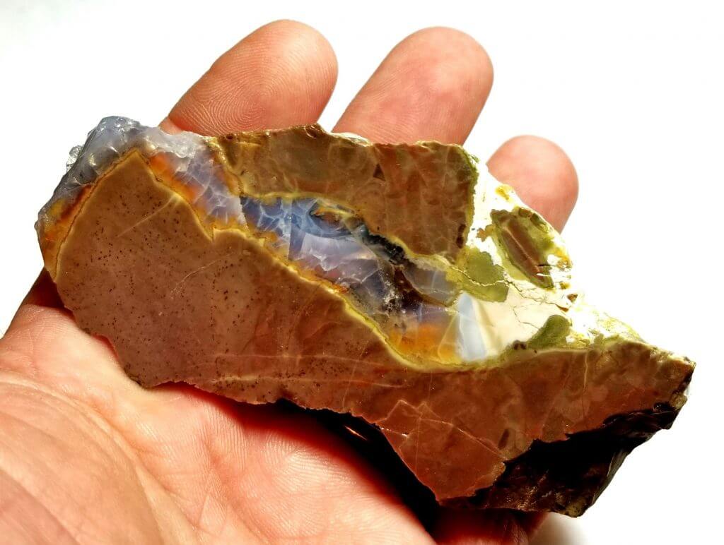 Oregon Opal Butte Specimen 4" x 1.5" In. 545 Crts - Gold Crown Jewelry