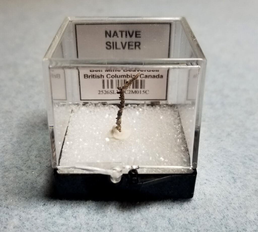 Silver Native Canada Specimen Thumbnail 21x1.5mm 0.15Grams Gold Crown